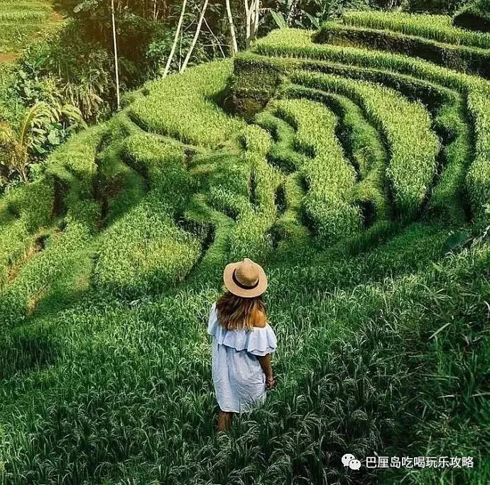 爱旅拍-巴厘岛蜜月|旅行|婚礼|婚拍|一站式服务|巴厘岛旅游,恶魔的眼泪,悬崖秋千,双子瀑布,天空之门,德格拉郎梯田,水上王宫,